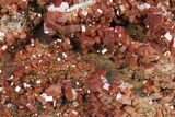 Top-Quality, Deep Red Vanadinite Crystals on Barite - Morocco #231844-4
